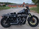 Harley Davidson Sportster 883 IRON 2015