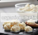 20g Organic Milk Kefir Grains: Tibetan