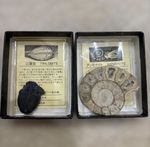 Ehime Science Museum Fossil Set Cambrian Trilobite Jurassic Ammonite Japan