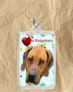 Rhodesian Ridgeback Dog Keyring 77x51mm Ridgie Key Ring Birthday Gift Xmas Gift