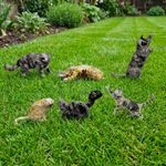 AN07 - Cat Figures unpainted OO scale