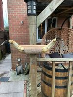 Collect only. Cow Horns Mounted On Hardwood Shield. 60 Cm By 30 Cm