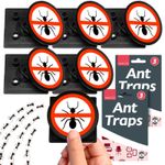 3pk/ 6pk Ant Trap Bait Stop Ants Killer Nest Station Insect Glue Outdoor Indoor