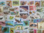 Insects/Invertebrates/Bugs Stamps Collection - 50 to 300 Different Stamps 