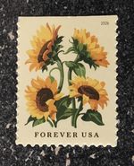 2026USA Forever Sunflowers - Single Stamp From Booklet  Mint