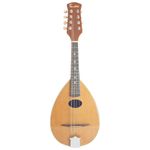 Timothy Mandolin PM600 Round Bowl Back Eight String Musical Instrument With Case