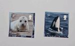 PM81 2021 Sg4553/54 Wild Coasts 1st class stamps from booklet self adhesive