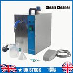 2L Jewelry Gem Steam Cleaner Gold/Silver Jewelry Steam Cleaning Machine 220V