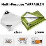 Tarpaulin Extra Heavy Duty Waterproof Cover Tarp Ground Sheet Mesh 100/200GSM