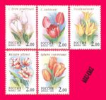 RUSSIA 2001 Nature Flora Flowers Tulips 5v Mi889-893 MNH