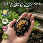 Tiger & Dendra Worm Cocoons - Bio-Active Compost Starter Culture Soil Inoculant