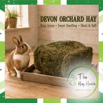 3kg Mini Bales of Devon Orchard Hay | Rabbit, Guinea Pig Feed | Forage