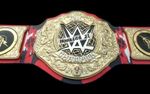 CM Punk Heavyweight Wrestling Championship Belt Replica adult size