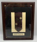 1894 Pennsylvania Republican Ticket Governor Daniel H Hastings Ribbon Framed