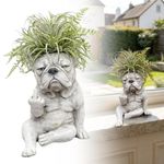 French Bulldog Planter Pot Home Garden Decor Statues Figurines Onaments Funny