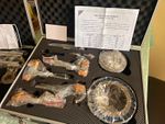 Dasqua Analogue Three-Point Internal Micrometer Sets w/ Setting Rings & Cases