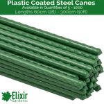Plastic-Coated Steel Garden Support Canes/Stakes (Optional Clips) | 2ft-10ft