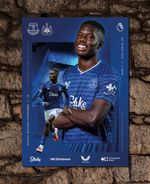 Everton v Newcastle United Premier League Programme 29/11/25