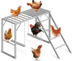 Chicken Coop Perches with 2 Swings, Metal Chicken Toys with Ladder