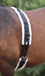 Shires Nylon Roller Soft Fleece Lunge Padding Adjustable Lunging Training