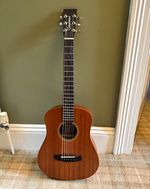 Tanglewood Winterleaf TW2T 6-String Dreadnought Brown RH Full Size + Gig Bag