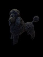 Best Of Breed - Dogs - POODLE In Black Standing 2005