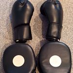 Black Boxing Sparring Gloves with Punch Focus Pads/Mitts Set