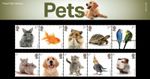 GB 2026 PETS PRESENTATION PACK No.686 STAMPS *SPECIAL PRICE*