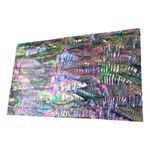 UK 1pcs DIY Natural Inlay Material Multicolor Abalone Shell Blanks Craft Supply