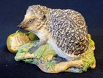 Border Fine Arts 'Hedgehog With Apple' Figurine. J. Boyt. 5" Wide. 3" Tall. VGC.