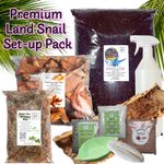 Premium Giant African Land Snail Set-Up Pack  10 items including Leaf Litter