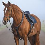Horseware Micklem Breastplate With Martingale