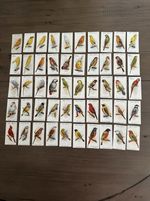 John Player Cigarette Cards 1933 Full Set of 50, Aviary and Cage Birds