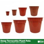 Strong Terracotta Recycled Plastic Plant Pots |Cactus/House Plants|Various Sizes