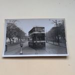 Leeds City Tram Car No. 255 Photo Postcard 