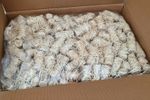 Eco Friendly Natural Wood Wool Fire lighters  5 KG 500 Pieces +