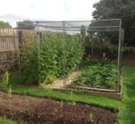 Fruit Cage and Vegetable Cage Walk  In Cage Complete With Door Netting, Pegs