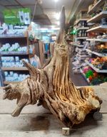 Derwen Oak Bogwood 19-45cm Dense Driftwood ideal for aquariums & vivariums