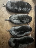 1x Taxidermy Flat Mole