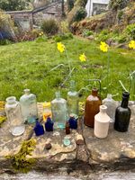 Collection of  vintage bottles