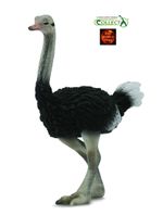 Ostrich Bird Toy Model Figure 88459 by CollectA Brand New