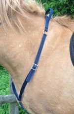 NECK STRAP with WEB or RUBBER HANDLE  adjustable  Shetland sm pony, pony cob f/s