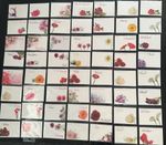 ShredAstic®️FUNERAL MEMORIAL Florist Flower Message Cards large 12.5cm x 9cm