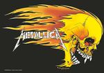 Metallica Skull & Flames large fabric poster / flag   1100mm x 750mm