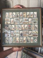 complete set of 50 original Ogden's Racing Pigeons cigarette cards, issued 1931.