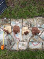 Cast Iron Ball And Claw Feet For A Roll Top Bath