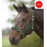 SHIRES LUNGE CAVESSON  COMFORT LINED NOSE PONY Size Adjustable Fit Green