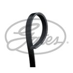 4 Rib Multi V Drive Belt 4PK675 Gates 7704978 46429443 9771302000 46751200