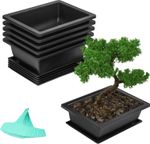 Bonsai Training Pots and Humidity Trays (6 Pack) - 16.5 x 22.5cm Durable Plastic