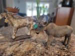 Bull Moose Lot 8" Real Fur! Hyper Realistic Wild Life Figure And 10" Resin/Tin..